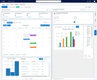 M-Files with a CtrlPortals dashboard in the main area: four figures at the top for customers, open opportunities, projects and deals closed this month, a month calendar of deadlines with buttons to switch it to a list, a board or a gantt chart, a bar chart of projects by completion and a list of projects. On the right, the page of one customer: its fields in two columns, tabs with a chart of closed opportunities per month, and a comment thread.